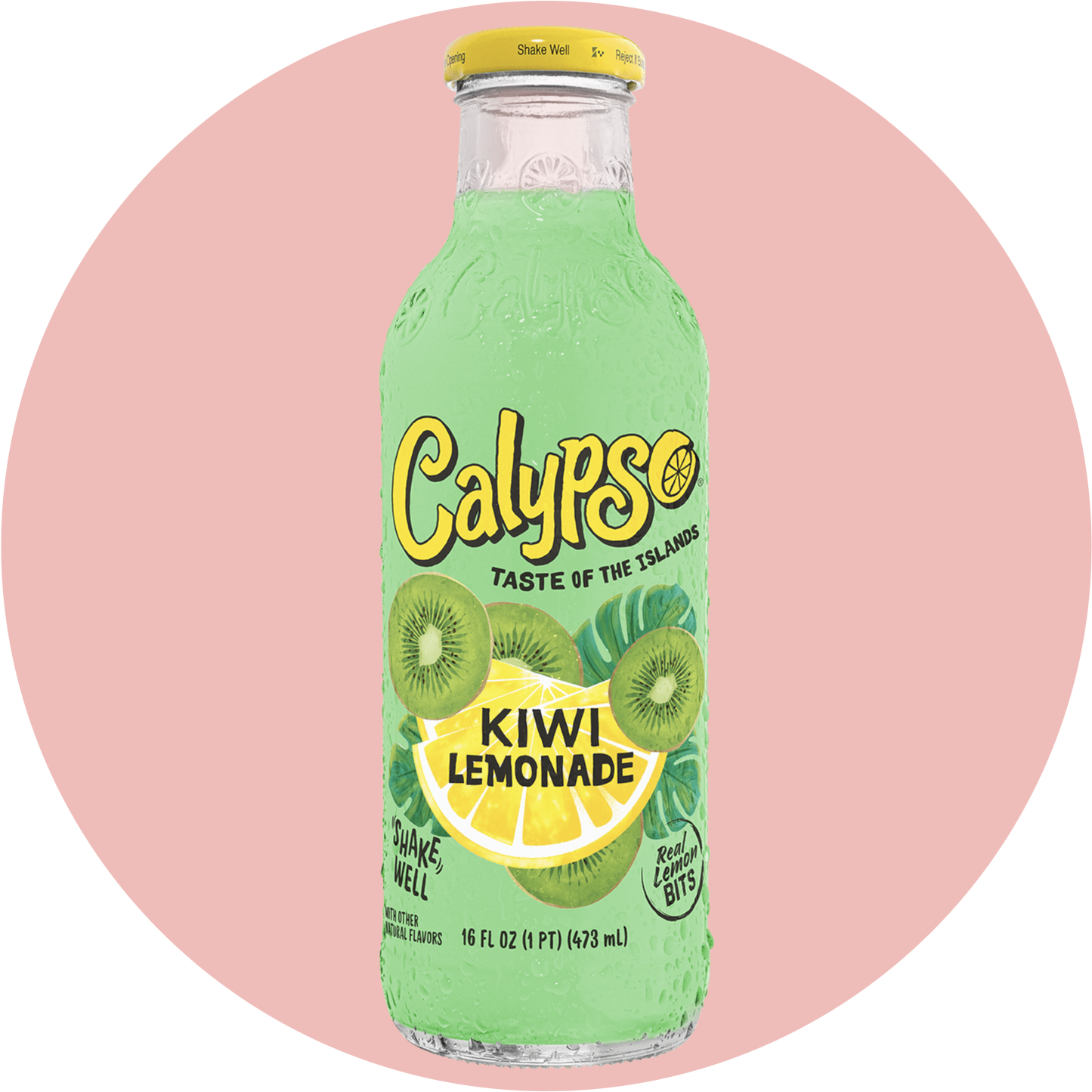 Calypso Kiwi